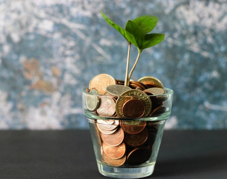 bourgeon dans un verre rempli de pièces