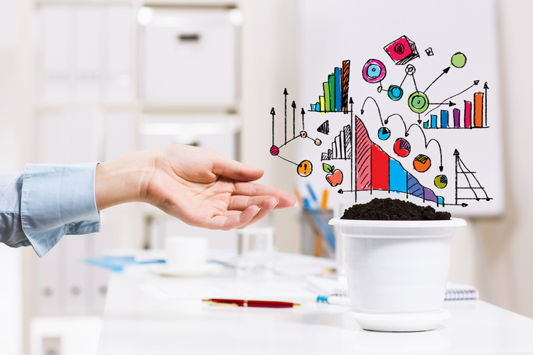 diversification des revenus